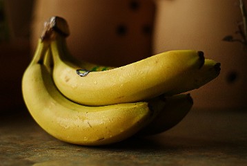 Bananas Bananas