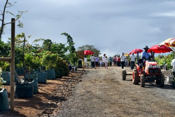 DSC00255 School plantation Flic en Flac , Mauritius.