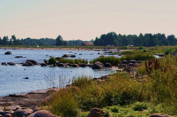 DSC01093 Sea landscape in Sweden.