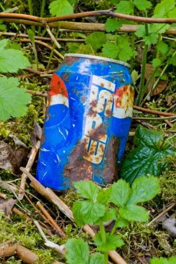 DSC07970 An old pepsi can lying in the wood