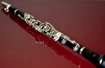 DSC00781 Flute