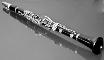 DSC00784 Flute instrument